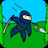 Adventurer's Run